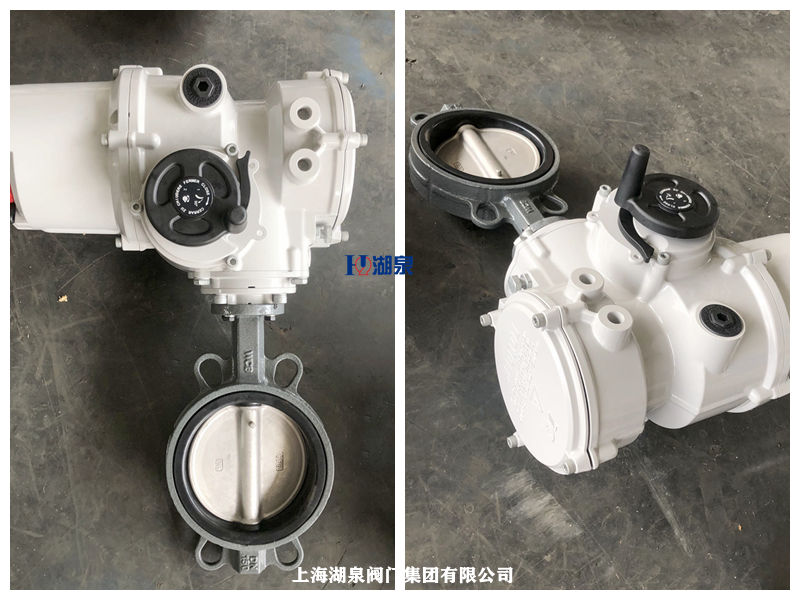 ?D971X-16P/DN50不銹鋼電動(dòng)對(duì)夾蝶閥